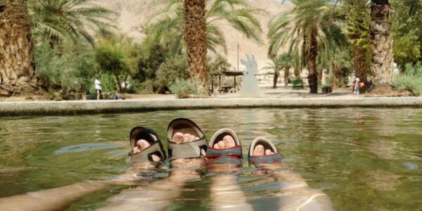 You are currently viewing Einot Tsukim – עיינות צוקים