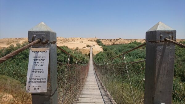 Lire la suite à propos de l’article Le pont suspendu de la rivière Bessor – הגשר התלוי על נחל בשור