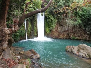 Lire la suite à propos de l’article Nahal Hermon Banias – נחל חרמון בניאס