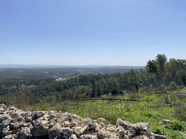 You are currently viewing Parc Britannia (parcours des puits et fosses) – פארק  בריטניה (שביל הבארות והבורות)
