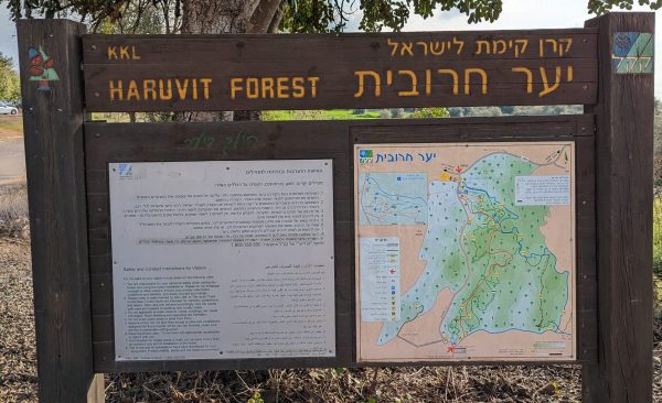 Lire la suite à propos de l’article Yaar Haruvit – יער חרובית