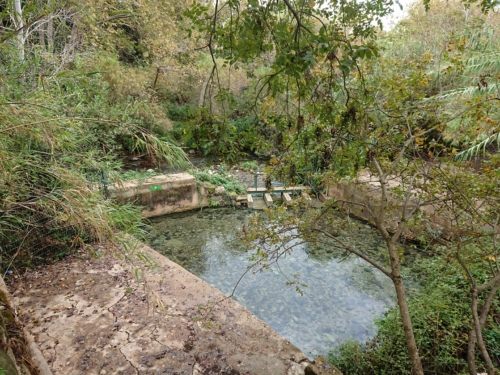 DSC 0098
